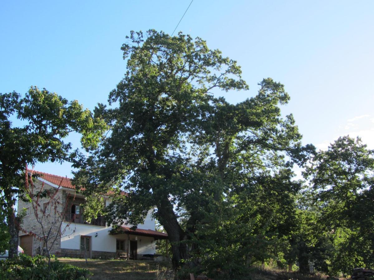 O Bilho Bed and Breakfast Vinhais Buitenkant foto